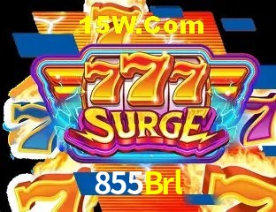Login Seguro 855Brl