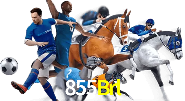 855Brl